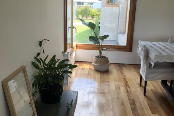 UNADJUSTEDNONRAW_thumb_a86f