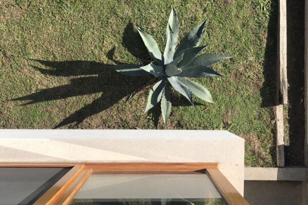 UNADJUSTEDNONRAW_thumb_b321